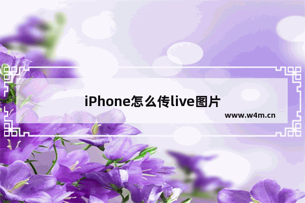 iPhone怎么传live图片