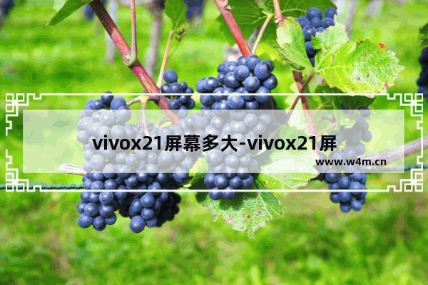 vivox21屏幕多大-vivox21屏幕多大尺寸大小