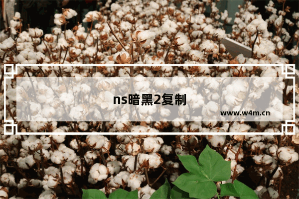 ns暗黑2复制