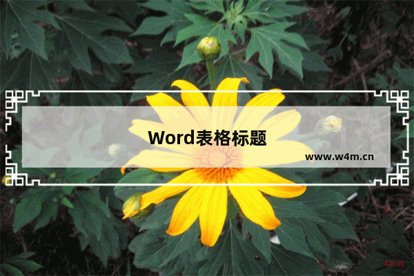 Word表格标题