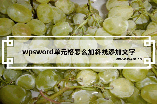 wpsword单元格怎么加斜线添加文字