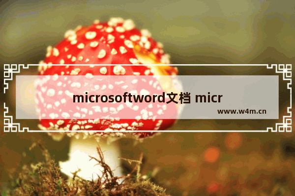 microsoftword文档 microsoftword文档怎么用不了