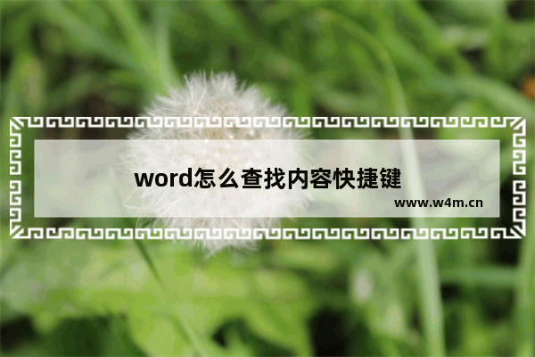 word怎么查找内容快捷键