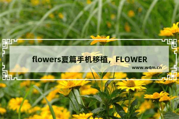 flowers夏篇手机移植，FLOWERS夏篇手机移植版