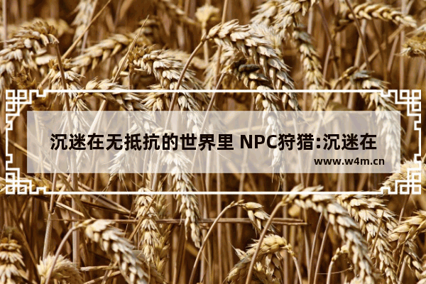 沉迷在无抵抗的世界里 NPC狩猎:沉迷在无抵抗的世界里