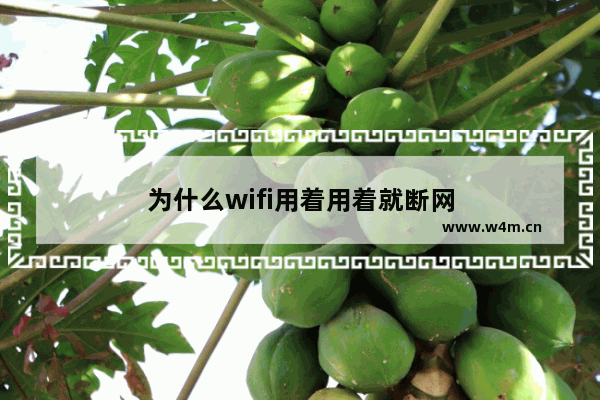 为什么wifi用着用着就断网