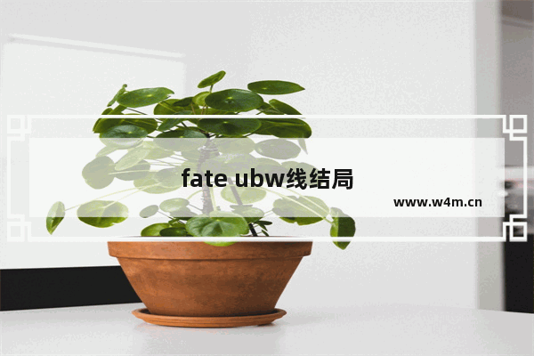 fate ubw线结局