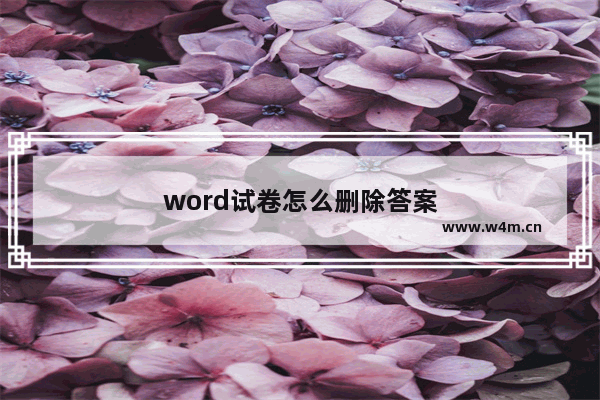 word试卷怎么删除答案