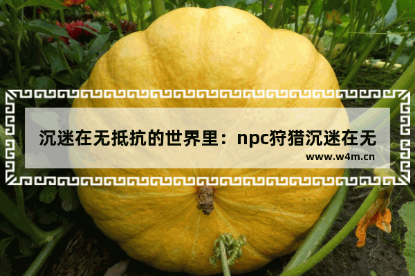 沉迷在无抵抗的世界里：npc狩猎沉迷在无抵抗的世界里光之剑