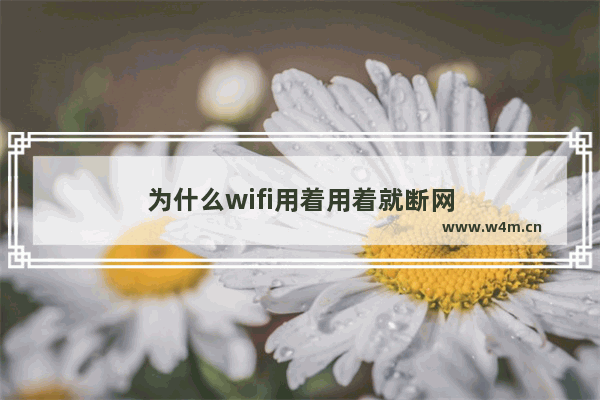 为什么wifi用着用着就断网