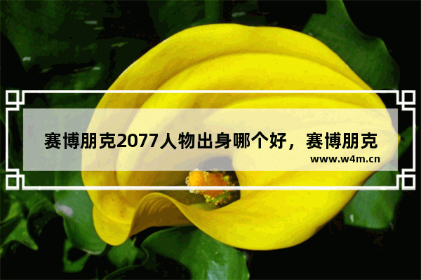 赛博朋克2077人物出身哪个好，赛博朋克2077人物出身哪个好玩