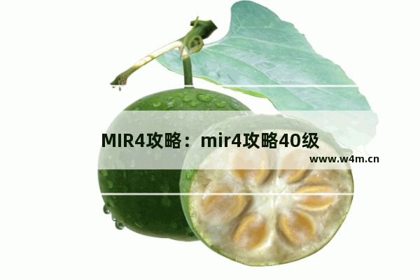 MIR4攻略：mir4攻略40级