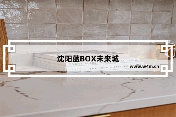 沈阳蓝BOX未来城