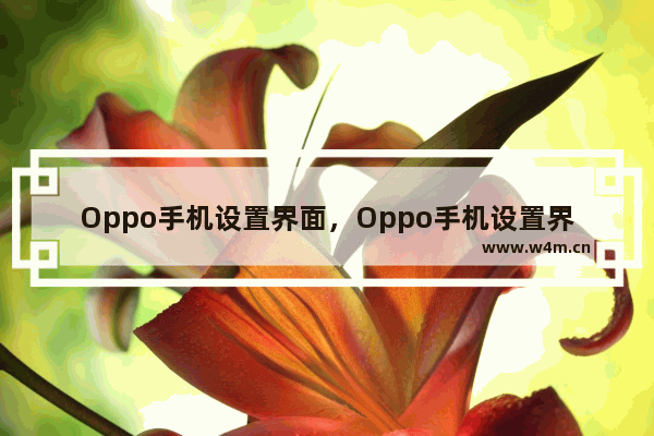 Oppo手机设置界面，Oppo手机设置界面图片