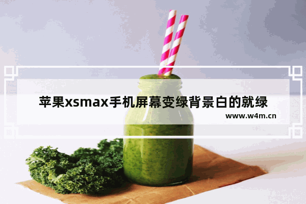 苹果xsmax手机屏幕变绿背景白的就绿