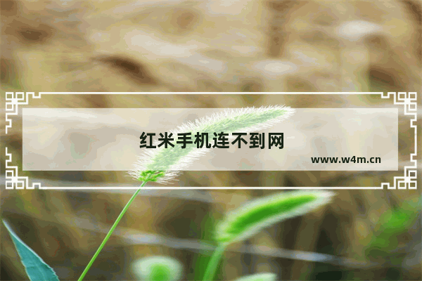 红米手机连不到网