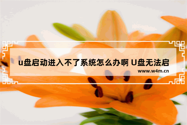 u盘启动进入不了系统怎么办啊 U盘无法启动系统怎么办？