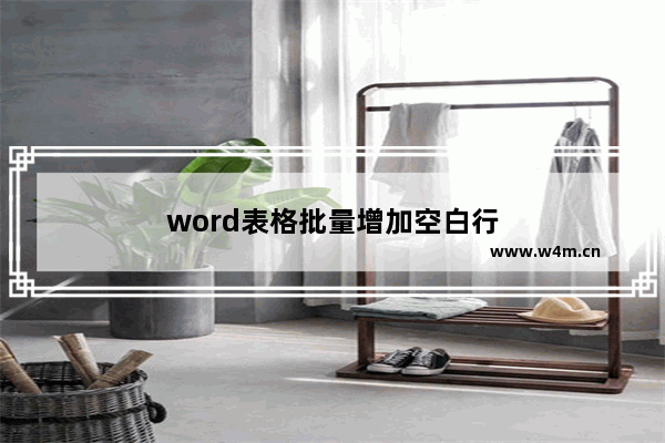 word表格批量增加空白行