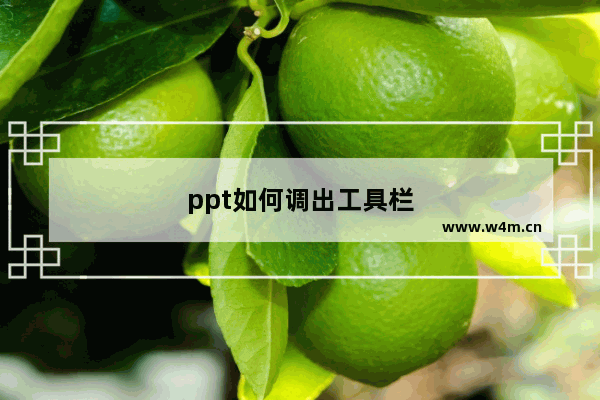 ppt如何调出工具栏