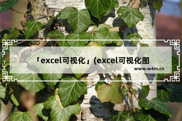 「excel可视化」(excel可视化图表制作教程 网盘)