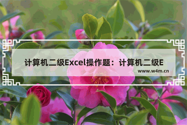 计算机二级Excel操作题：计算机二级Excel操作题考点