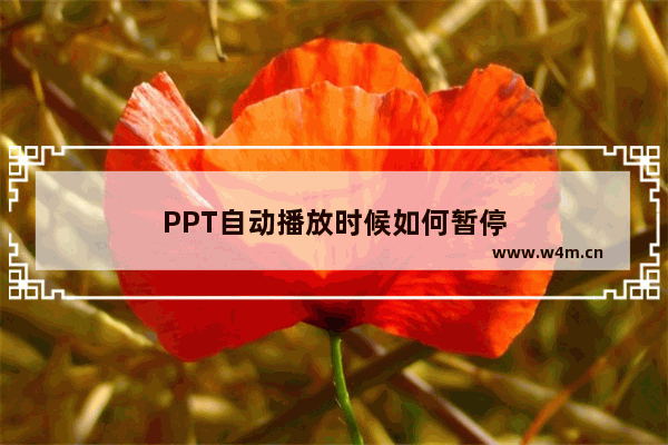 PPT自动播放时候如何暂停