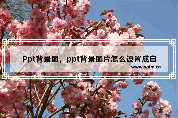 Ppt背景图，ppt背景图片怎么设置成自己的图片