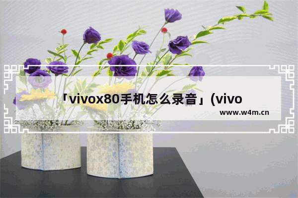 「vivox80手机怎么录音」(vivox80手机怎么录音剪辑)