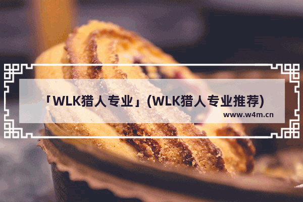 「WLK猎人专业」(WLK猎人专业推荐)