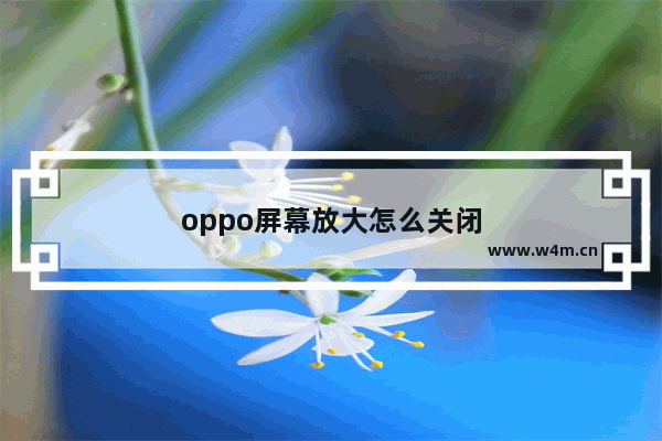 oppo屏幕放大怎么关闭