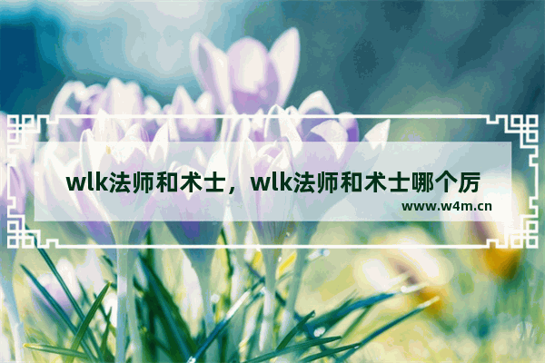 wlk法师和术士，wlk法师和术士哪个厉害