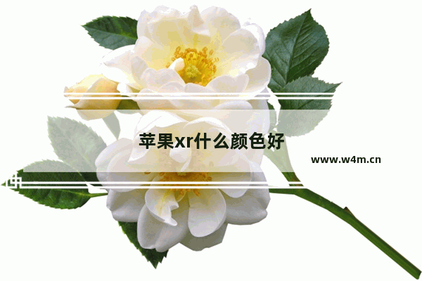 苹果xr什么颜色好