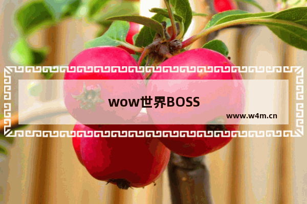 wow世界BOSS