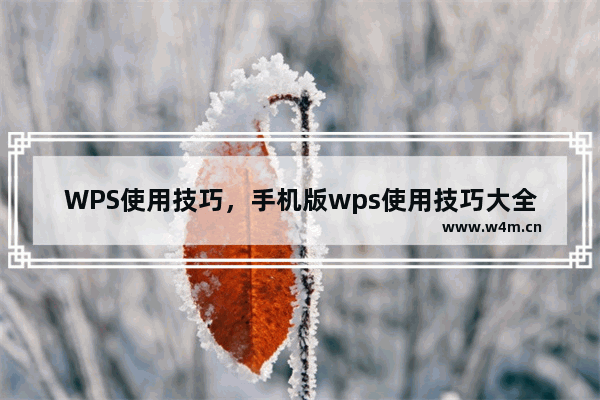 WPS使用技巧，手机版wps使用技巧大全