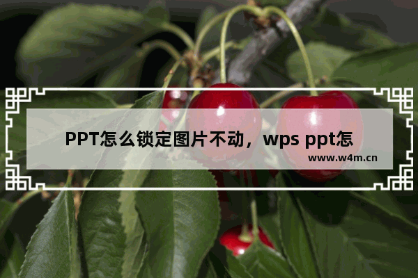 PPT怎么锁定图片不动，wps ppt怎么锁定图片不动