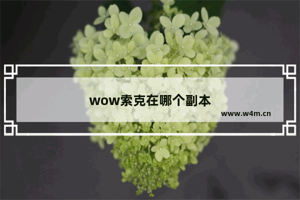 wow索克在哪个副本