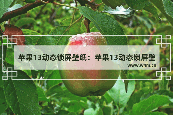 苹果13动态锁屏壁纸：苹果13动态锁屏壁纸下载