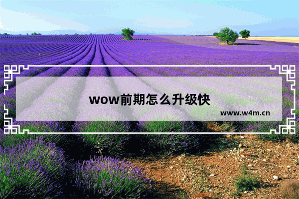 wow前期怎么升级快