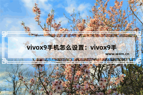 vivox9手机怎么设置：vivox9手机怎么设置时间