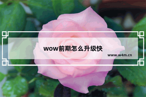 wow前期怎么升级快