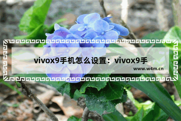 vivox9手机怎么设置：vivox9手机怎么设置时间