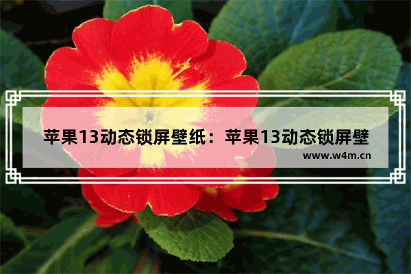 苹果13动态锁屏壁纸：苹果13动态锁屏壁纸下载