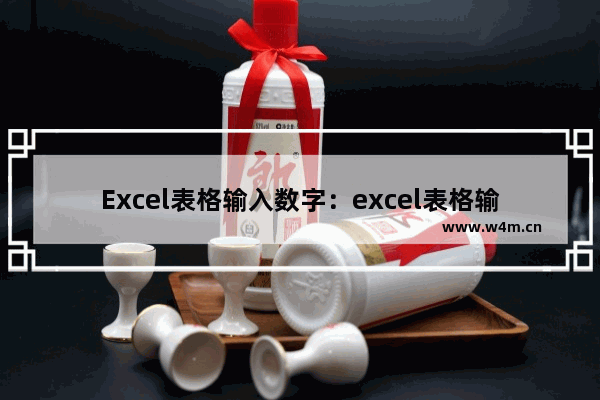 Excel表格输入数字：excel表格输入数字自动变0