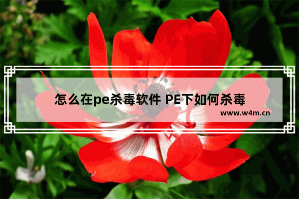 怎么在pe杀毒软件 PE下如何杀毒