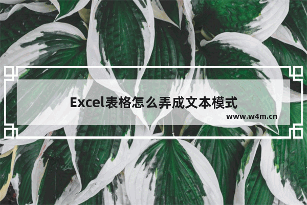 Excel表格怎么弄成文本模式