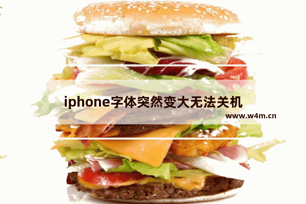 iphone字体突然变大无法关机