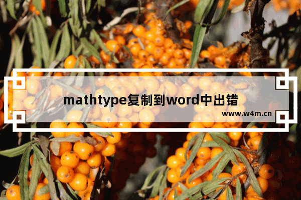 mathtype复制到word中出错