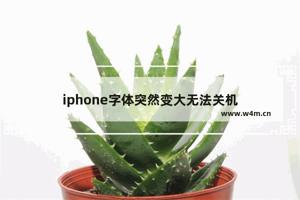 iphone字体突然变大无法关机