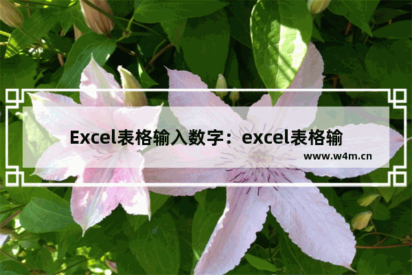 Excel表格输入数字：excel表格输入数字自动变0