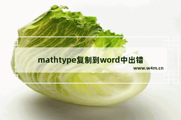 mathtype复制到word中出错